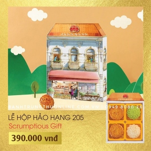 Bánh trung thu Đại Phát 2024 - Lễ hộp Hảo Hạng 205